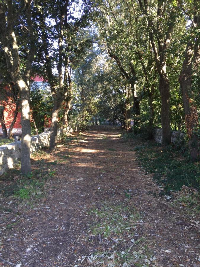 Villa Enea Monopoli Dış mekan fotoğraf