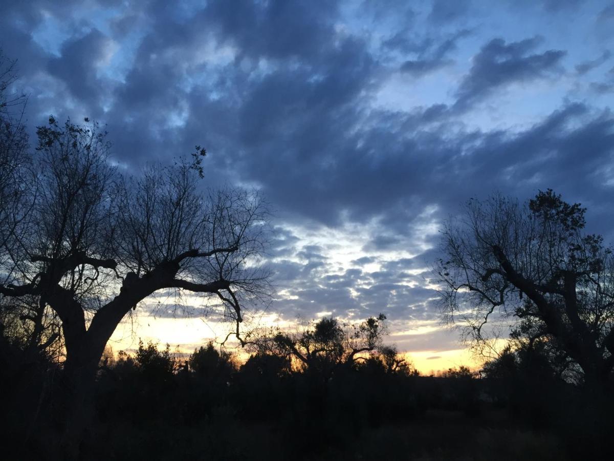 Villa Enea Monopoli Dış mekan fotoğraf